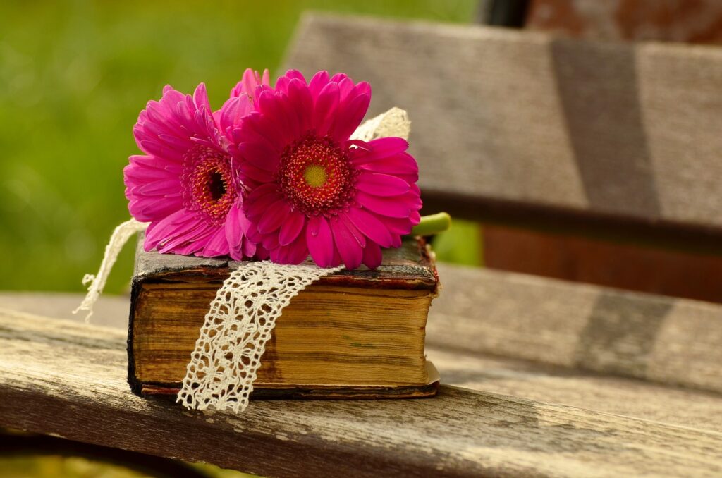 gerbera, pink, flower background, flower, blossom, bloom, bank, romantic, beautiful flowers, a book, bible, relax, nature, read, wood, flower wallpaper, bible, bible, bible, bible, bible