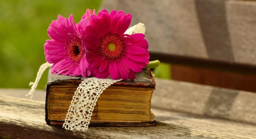 bible and books page