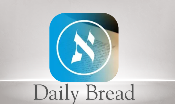daily bread 