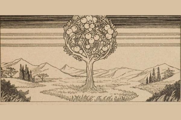 medieval – paradise tree