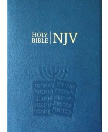 njv bible