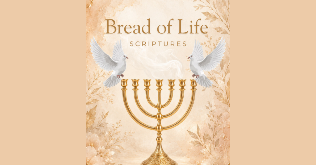 Book cover for the Bread of Life Scriptures, translated by Theresa Joy